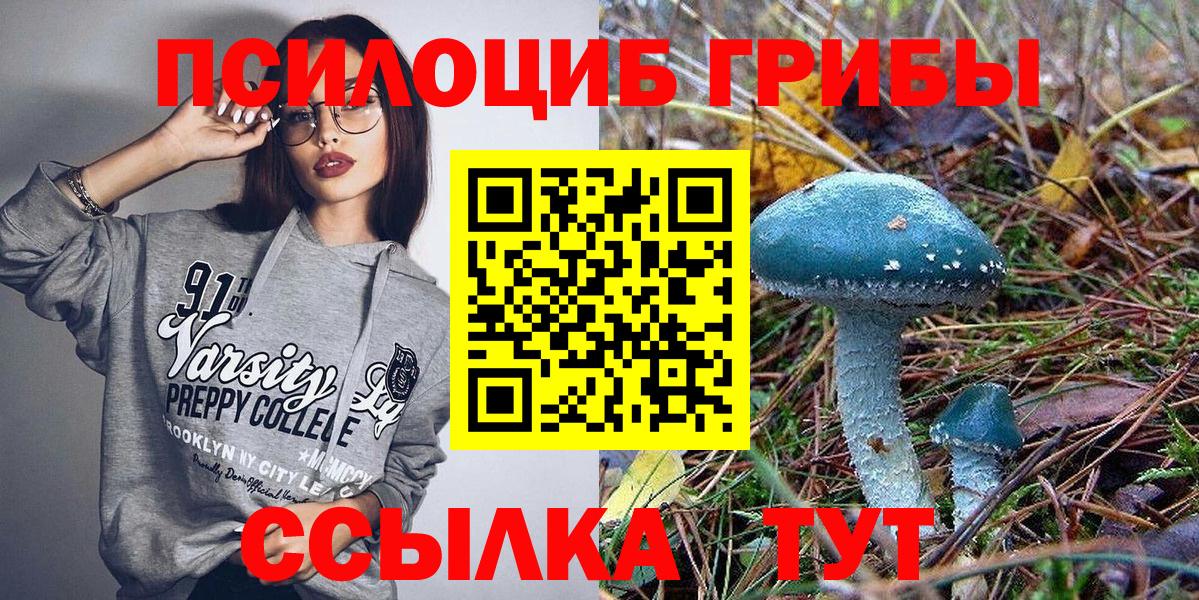 Псилоцибиновые грибы прущие грибы  Вход с VPN  Богданович  Псилоцибиновые грибы Magic Shrooms 